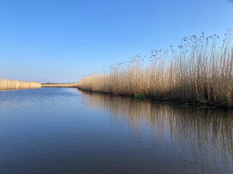 Panoramasicht auf der Regnitz