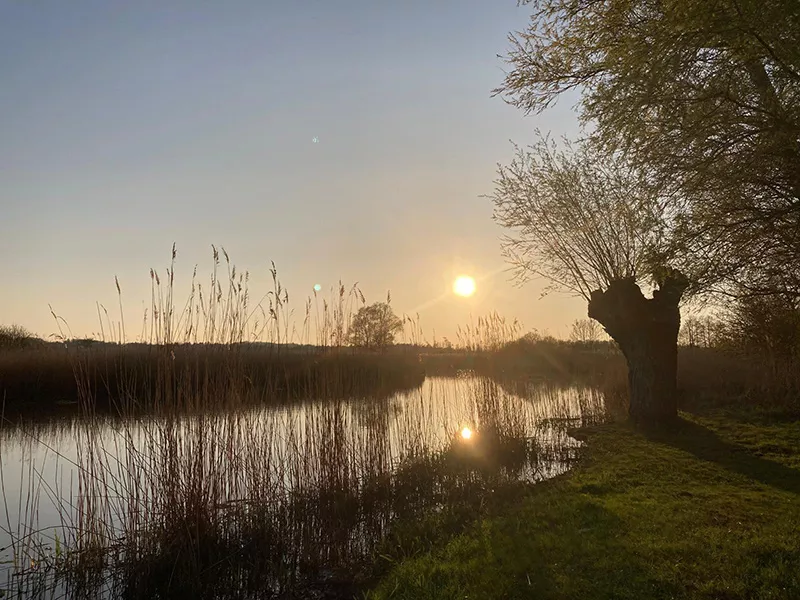 Abendstimung an der Recknitz